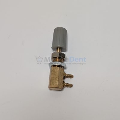 PXL_20240925_073808220